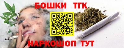 крисы Новодвинск